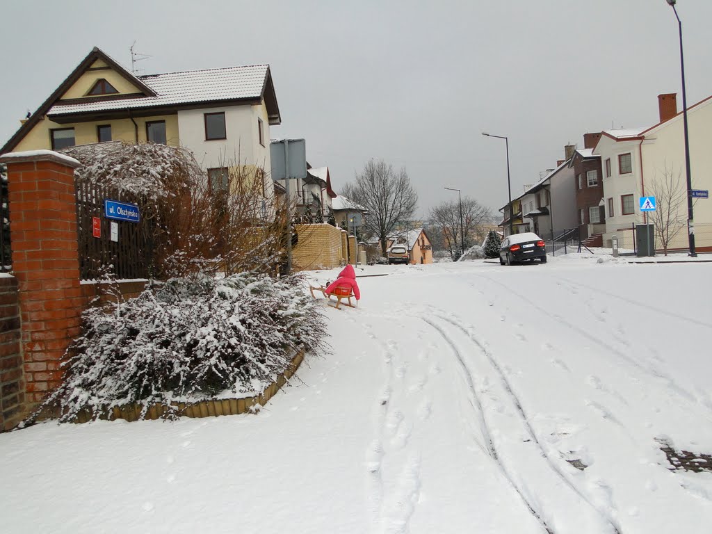 Snow Sled in Lublin. by guille737