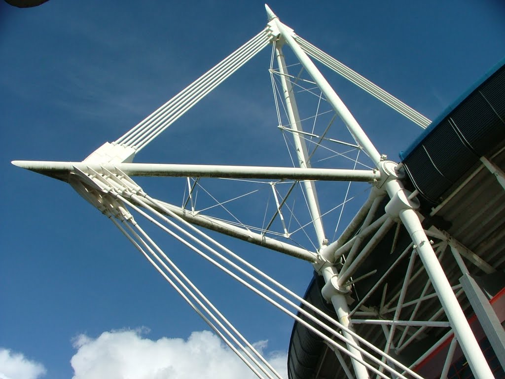 Side view of millennium stadium cardiff by hemburys