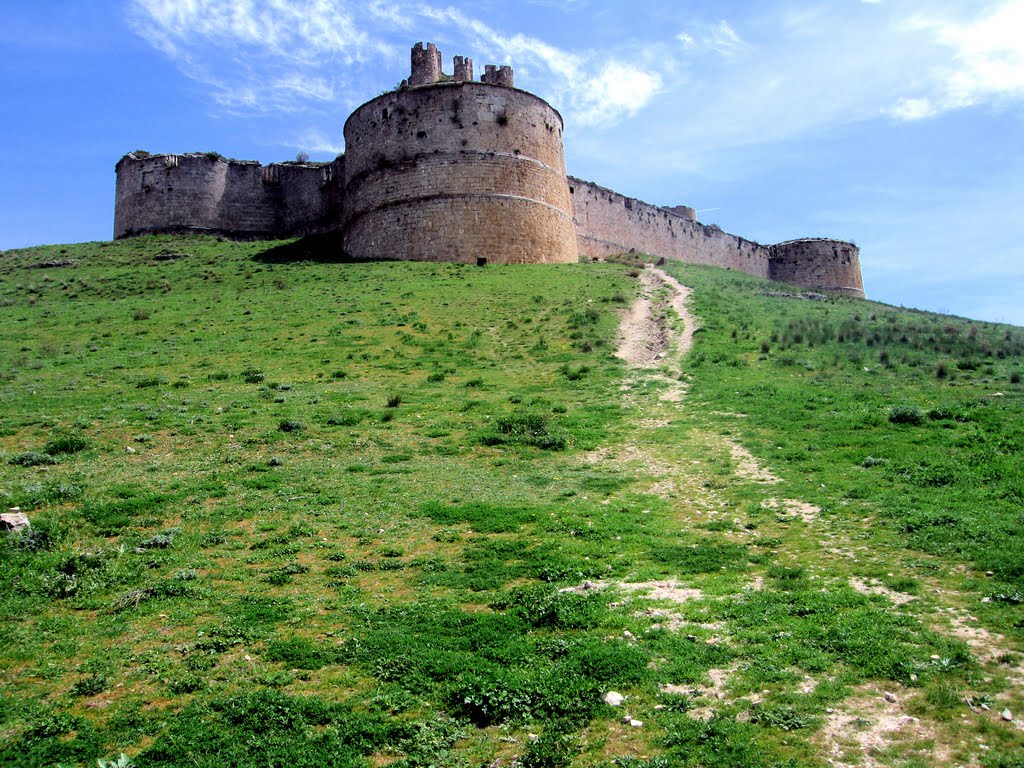 El castillo de Berlanga by gargared