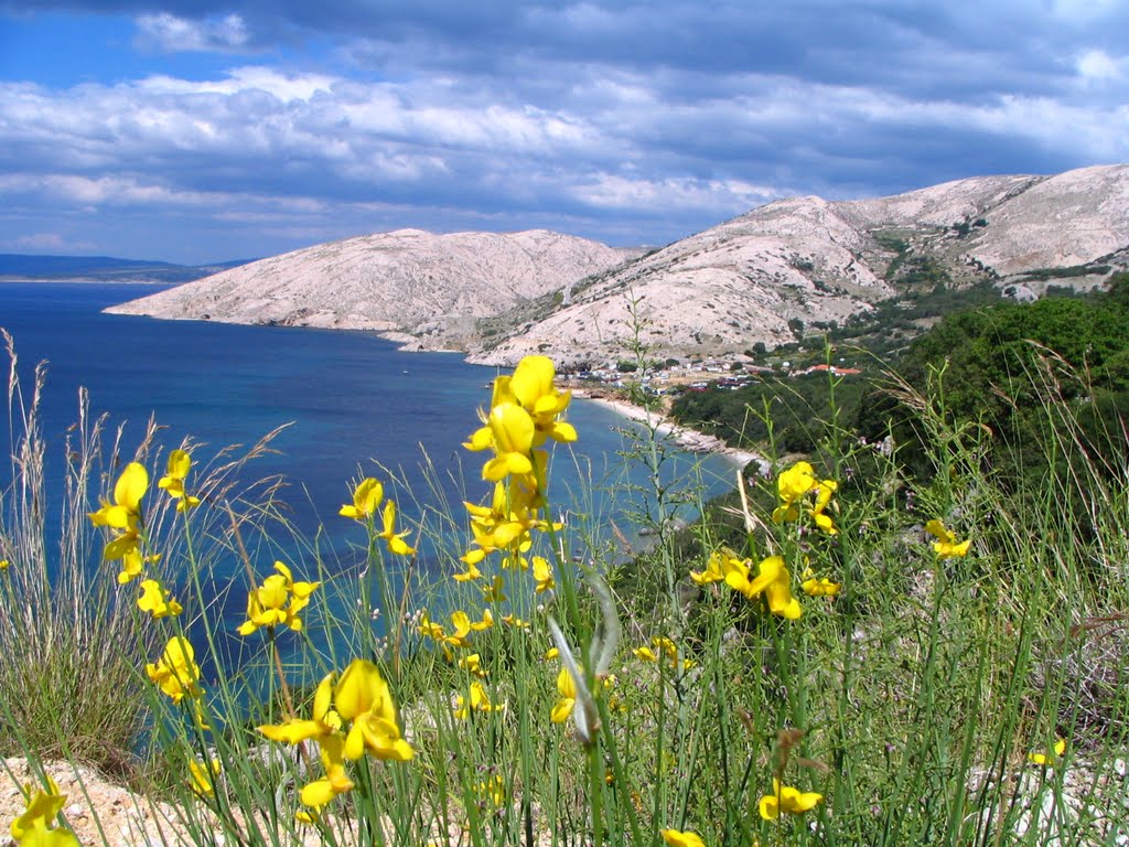 Stara Baška, Krk by Darjo