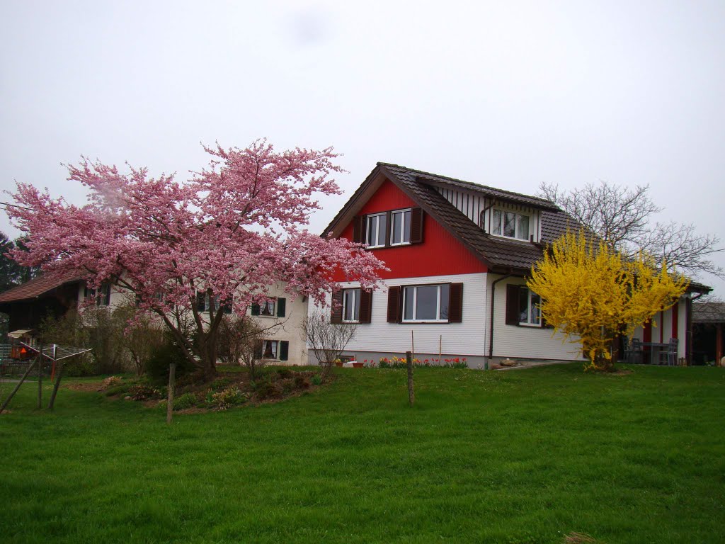 DSC04061 Home near Zurich NW view by Volkan YUKSEL