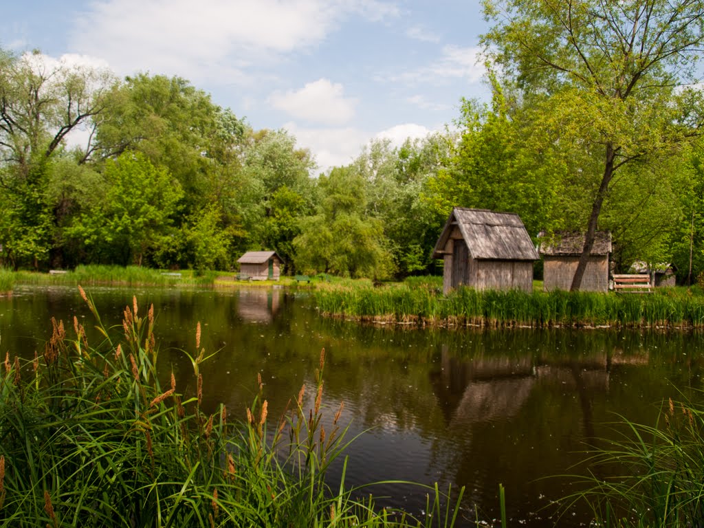 Horgásztó / Fishpond by P_Taki