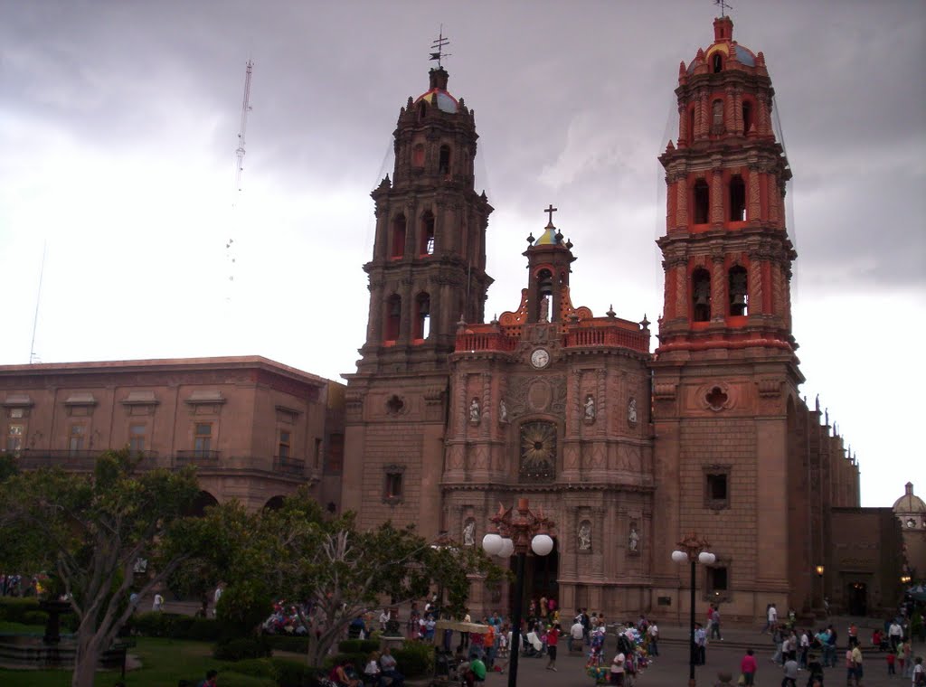 Catedral de San Luis Potosi by Carlos Cruz C