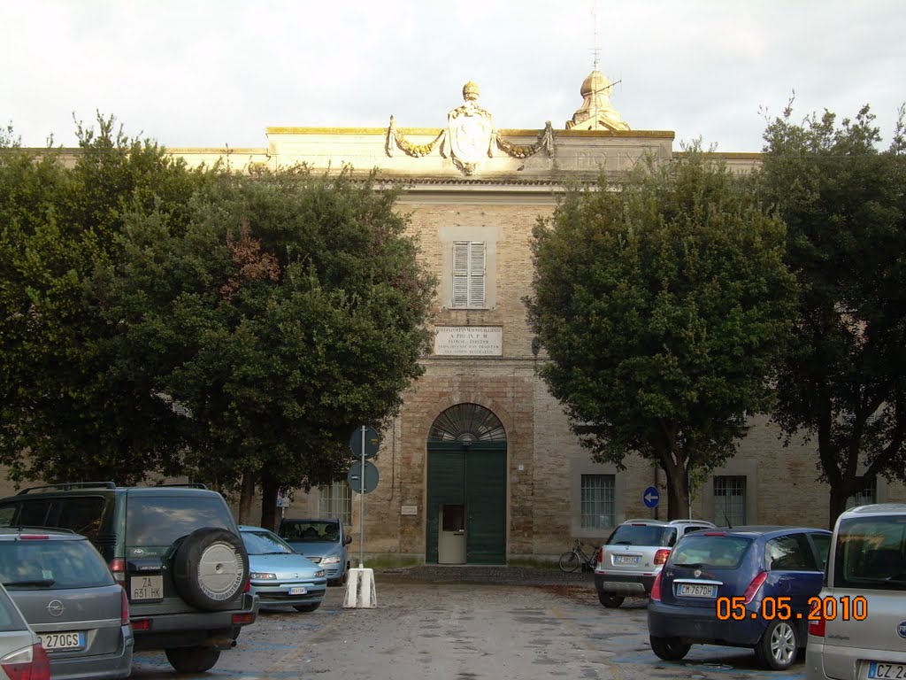 PALAZZO MARCHETTI by CAVALLO PAZZO