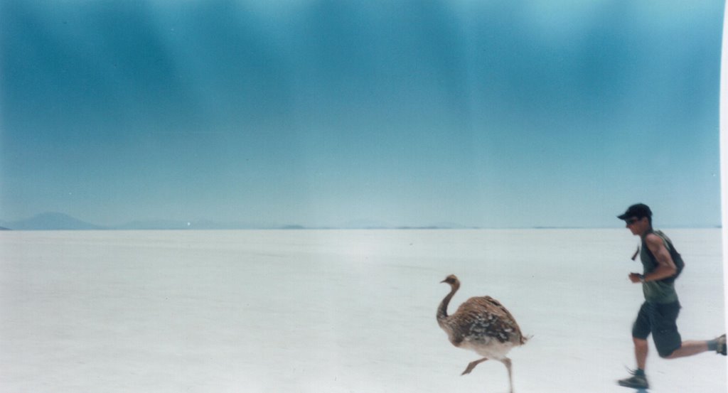 Correcaminos en Uyuni by Pablo_Spika!