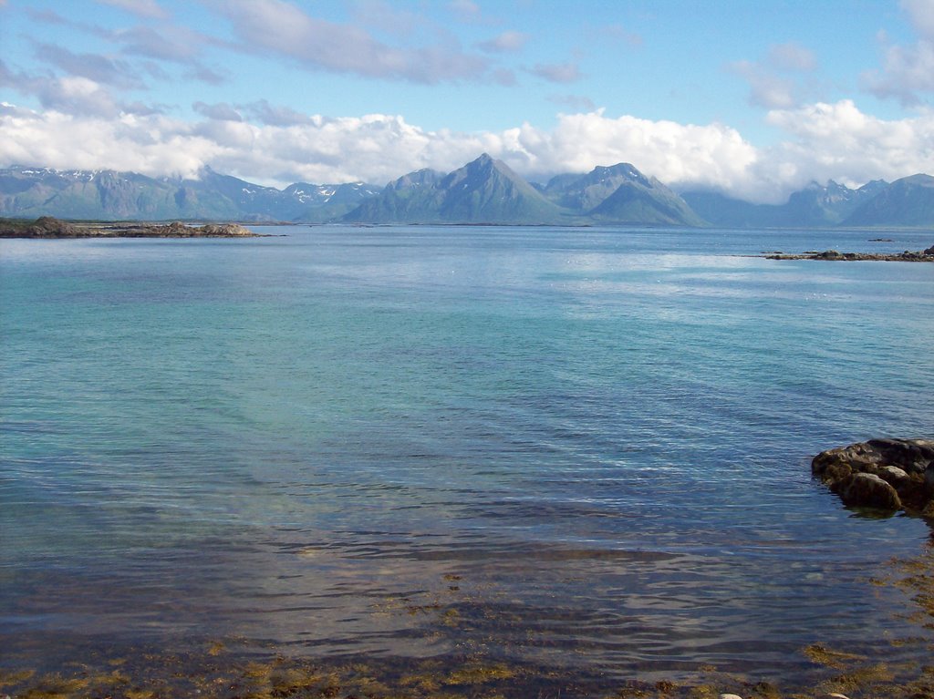 Hadseløya beach and pure green water by Paul Berzinn