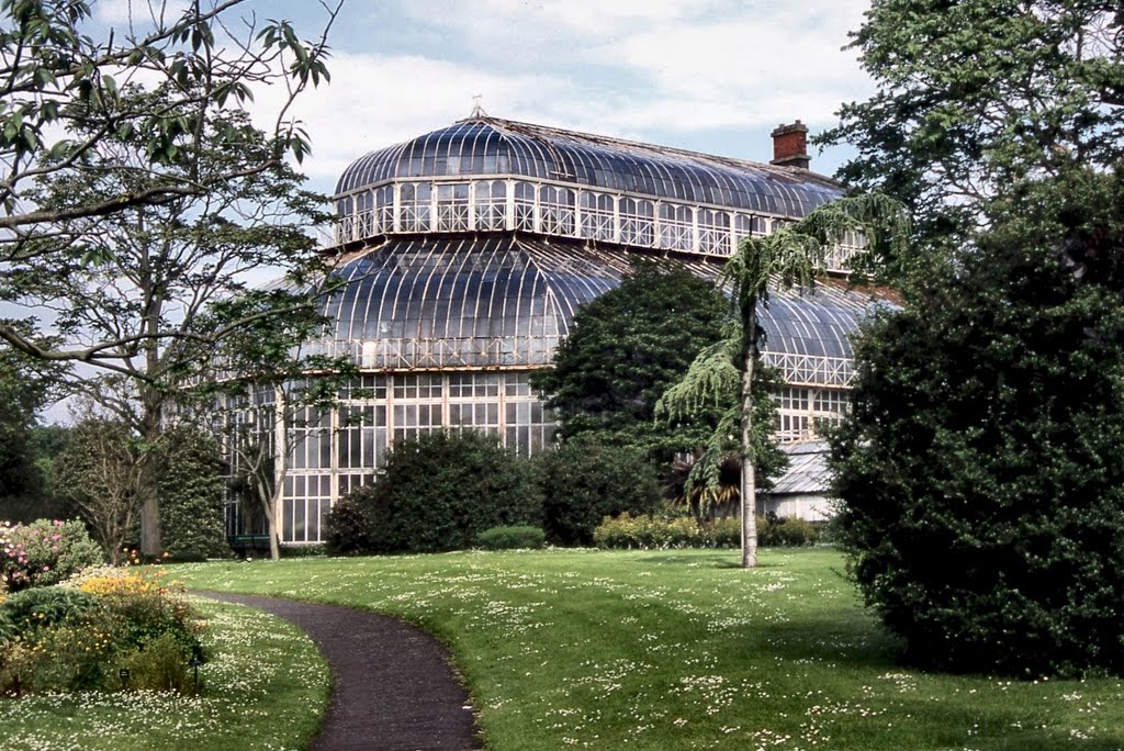 DUBLINO. National Botanic Gardens by Roberto Tomei