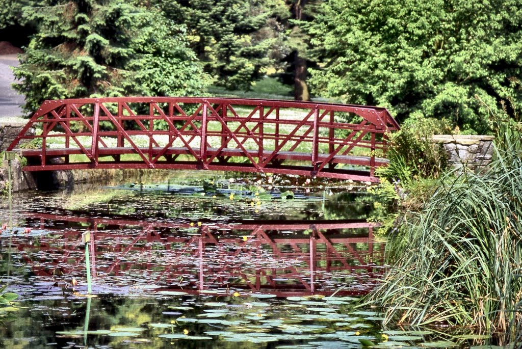 DUBLINO. National Botanic Gardens by Roberto Tomei