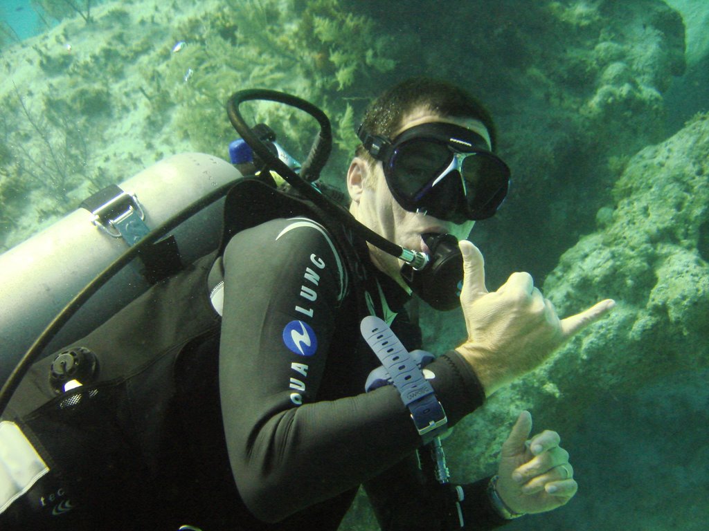 SilverDiver - Columbus Isle's Reef by Yvon Meurisse