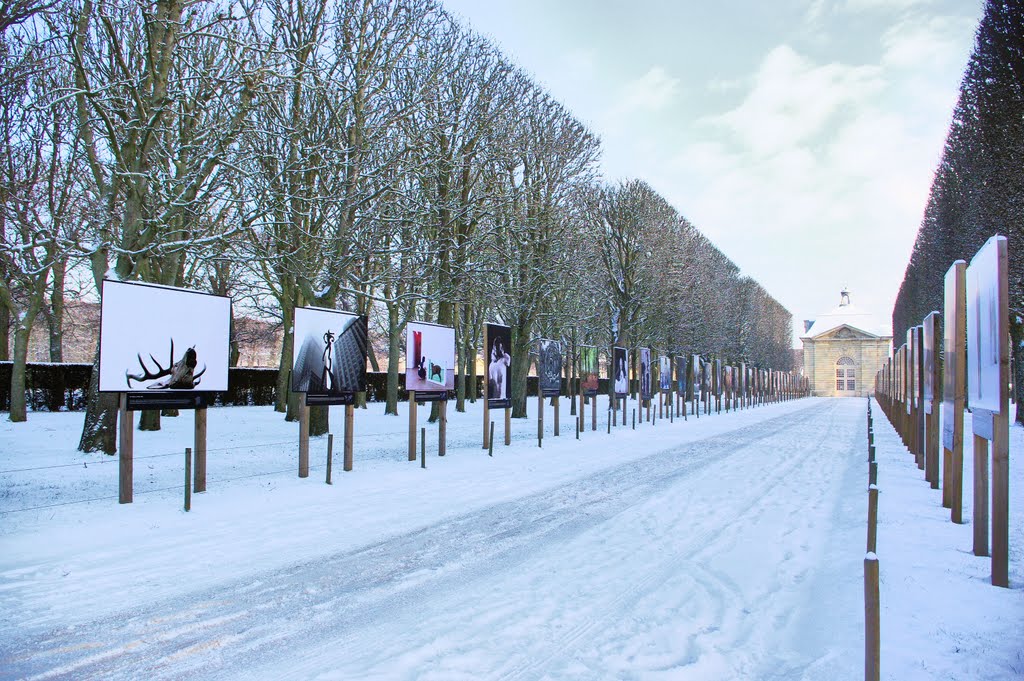 Parc de Sceaux by Philippe38