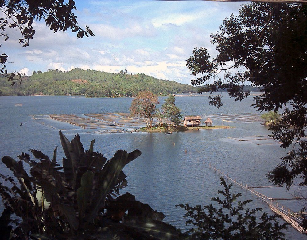 T'boli, Lake Sebu by luciano07