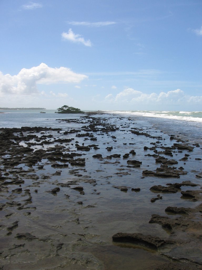 Praia dos Carneiros by José Carlos Igreja