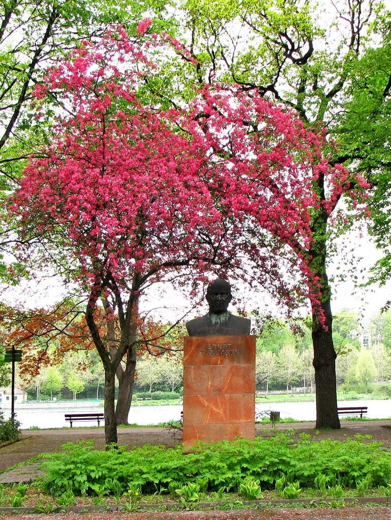 Chemnitz - Ernst-Thälmann-Büste by Rudolf Henkel