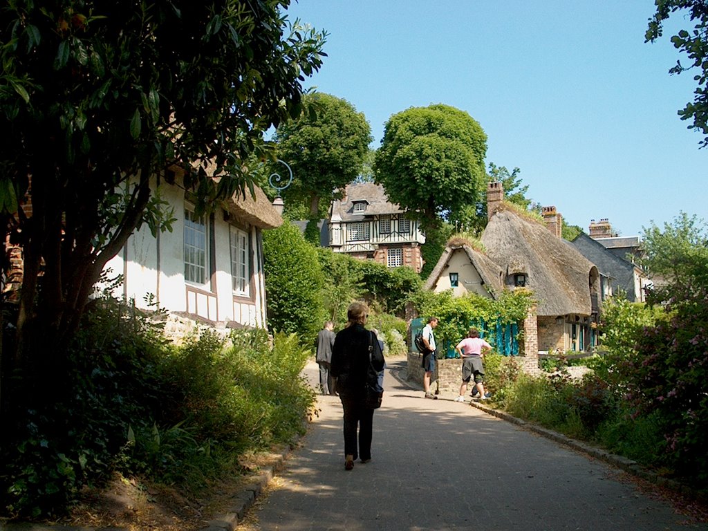 Chemin des créssonières by shpov