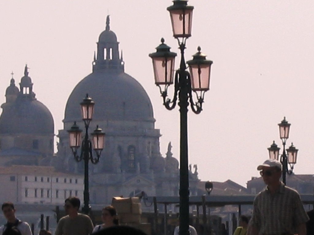 S.Maria della Salute, Venice by pandimis