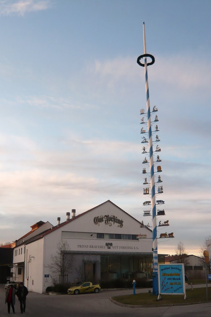 Forsting, Maibaum by PeMoMuc