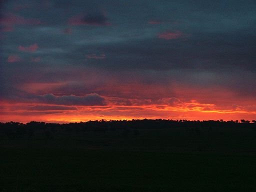 Sun setting over paddocks by Greg Steenbeeke