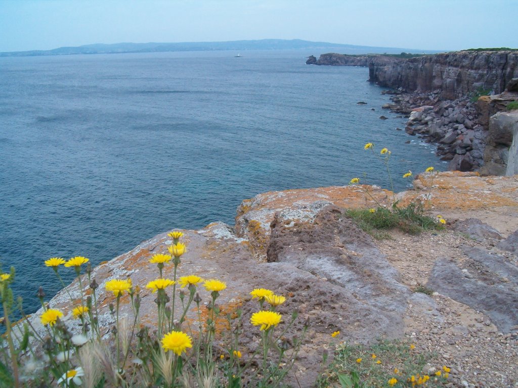 Isola s.antioco panoramica ovest by filippositzia