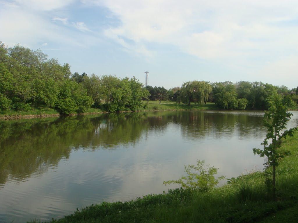 Waubonsie Lake South View by mjantho