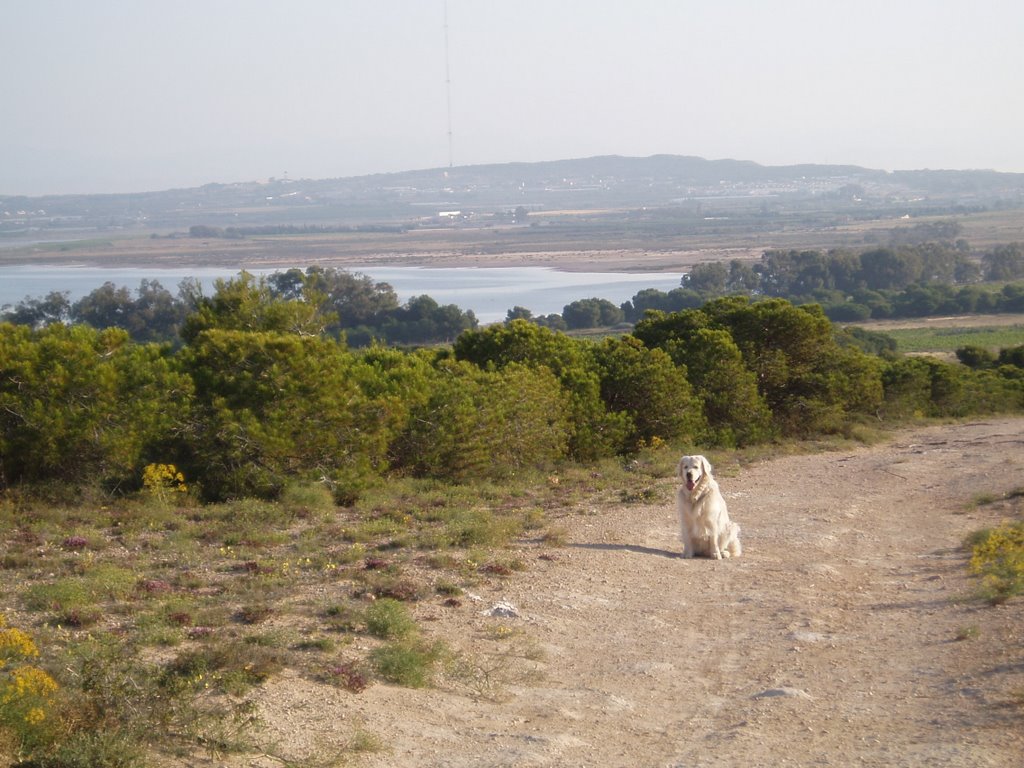 Laguna de La Mata by A N Other