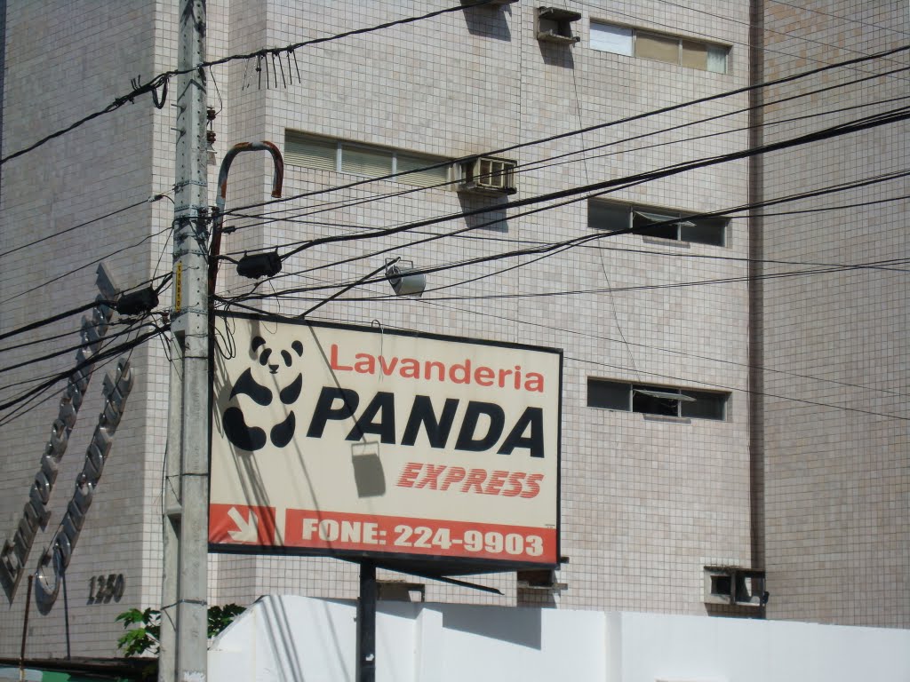 Save the Panda's - Down With the PandaSlaves by Ricardinho Andrade