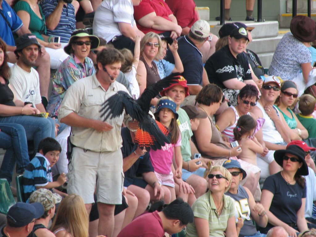 Bird Show Australia Zoo by Gary Crook