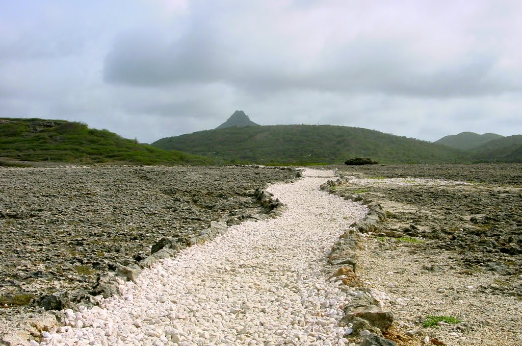 CURAÇAO: Mount Christoffel photographed from the north coast by NellvdBoschLevendig