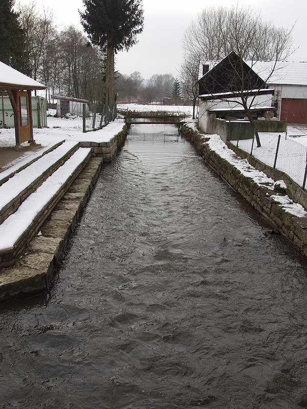 Nassenfels Bach im Winter by Dieter Bergbauer