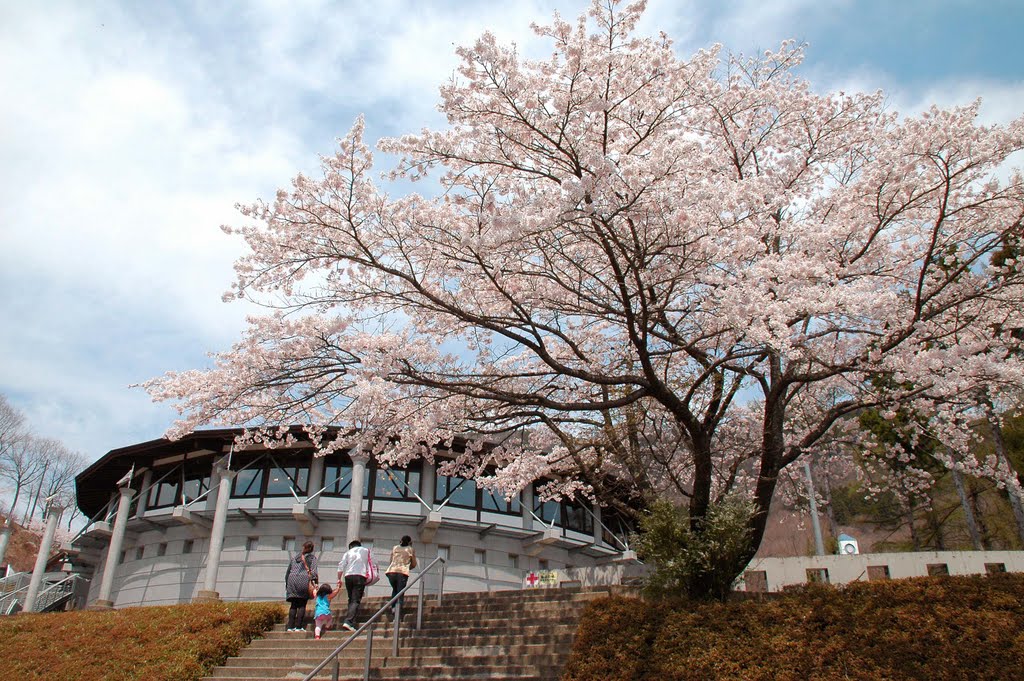 霊山こどもの村(Ryozen Children's village park) by 9m2ji1etu