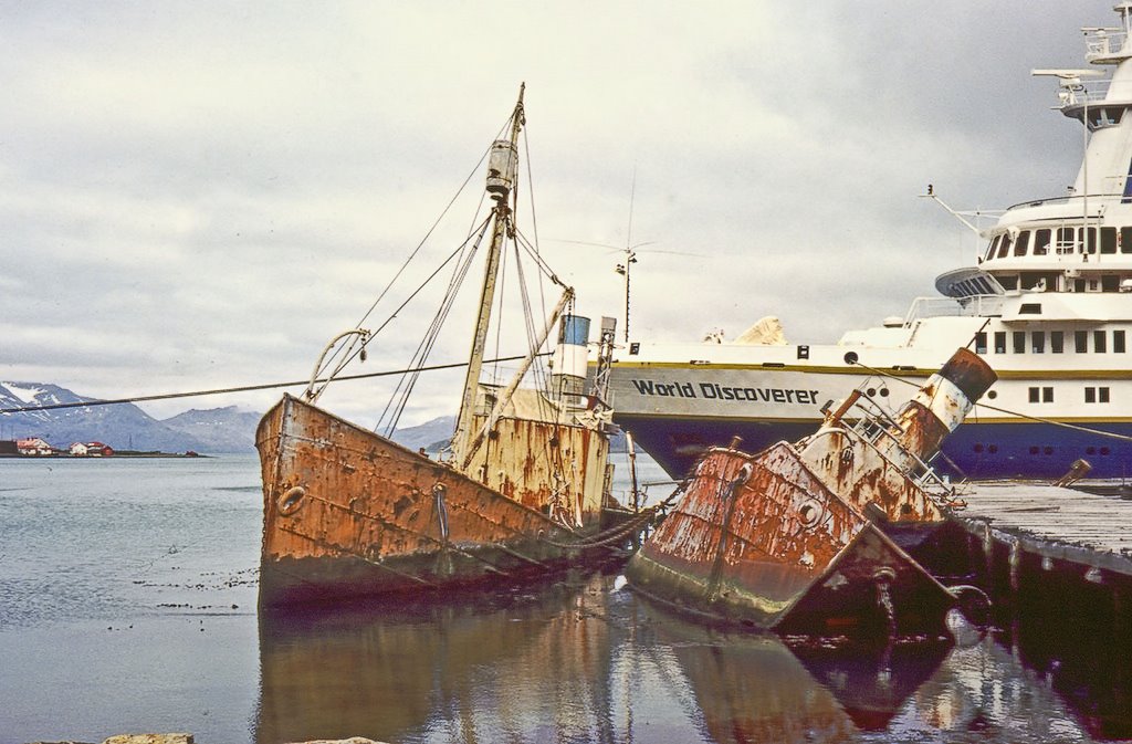 World Discoverer in Grytviken, 1996 by alanf64