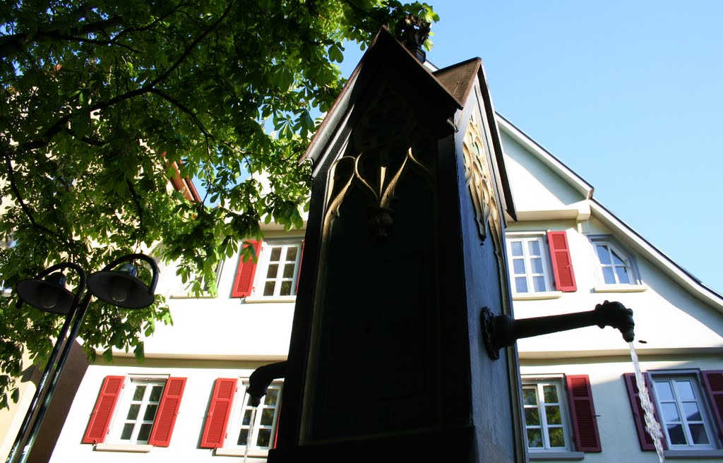 Am Jakobsbrunnen, Stuttgart-Bad Cannstatt by H.-Gerd Brunnert