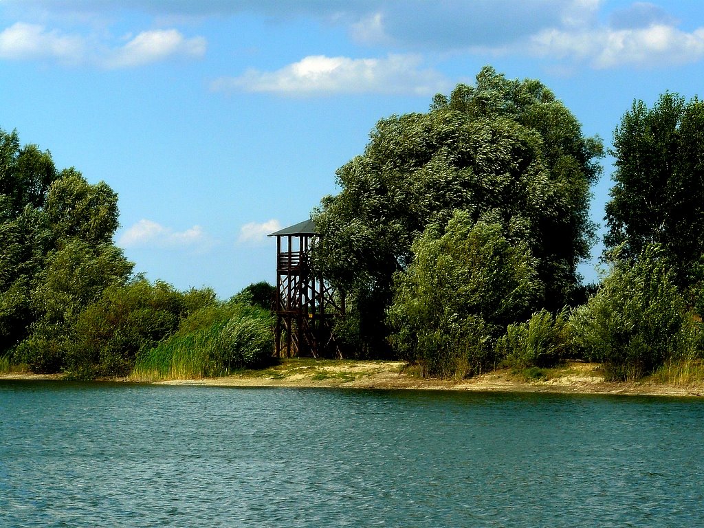 Madárles - Bird lookout post by Tamás Borbély