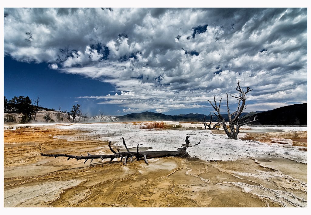 Mammoth Hot Springs by Kikajon