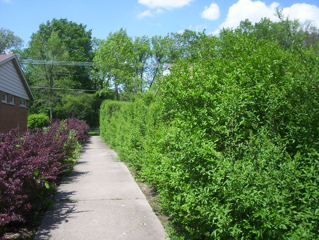 Entrance to bike path on my block by codchick