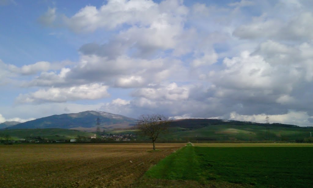 Hochblauen (Mt. BLue) from the valley by schliengen