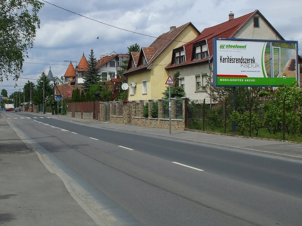 201005081304 Rákosszentmihály, Rákóczi utca by Harmadik