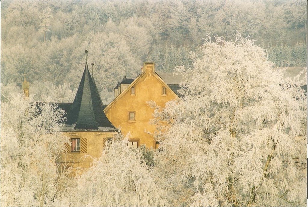 Schmölzer Schloß im Winter by Thomas Karger