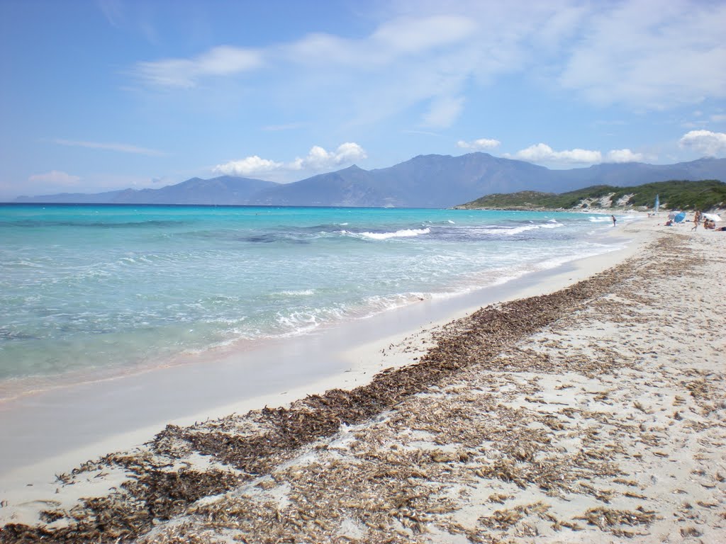 Strand by braun hans peter