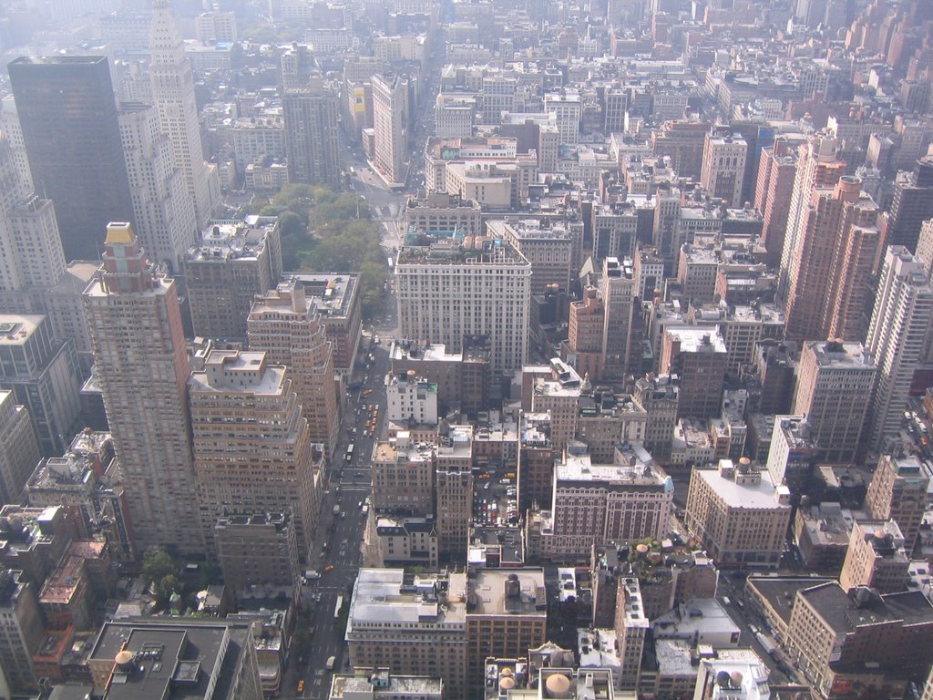 View from Empire State Building by Mate J Horvath