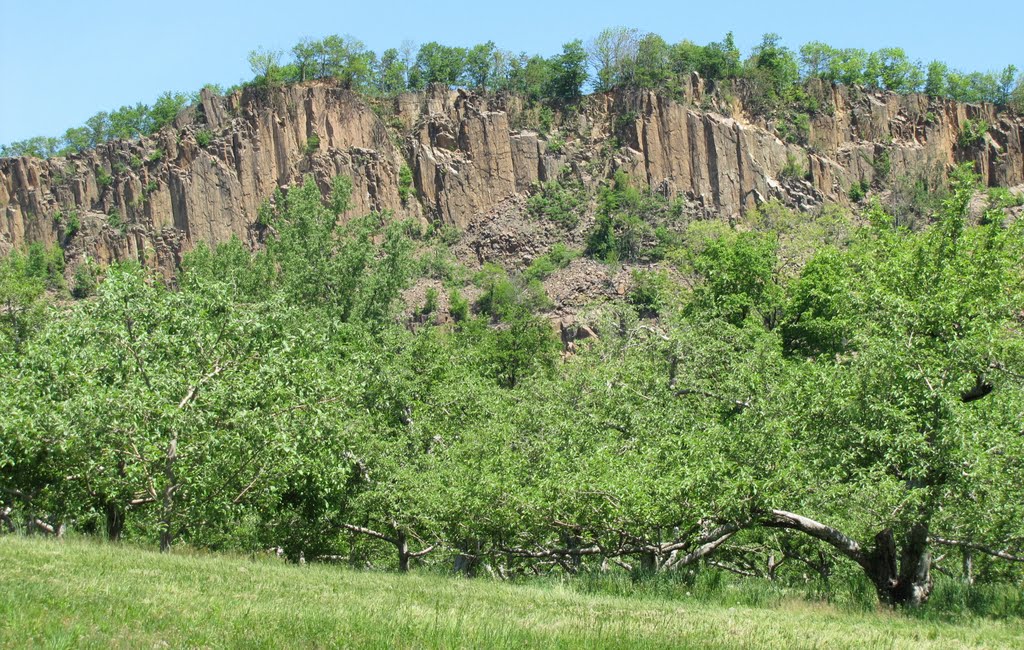 Tilcon Quarry; South Mountain Columnar Basalt by Chris Sanfino