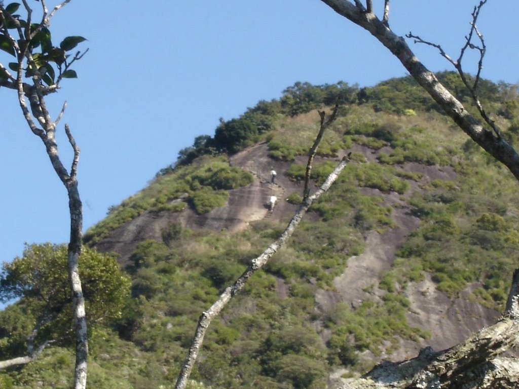 Pico da Tijuca e sua escadaria by JLuciano