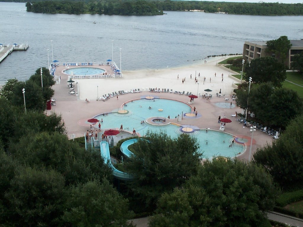 Disney Contemporary Resort Pool by moreydad