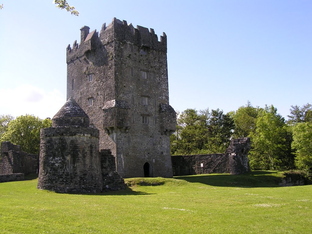 Aughnanure Castle by Willem Nabuurs