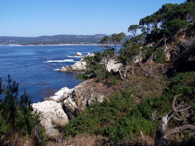 Point Lobos Reserve by Christopher Jones