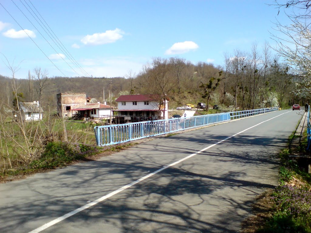 Veleka Bridge at Kachul / Мостът на Велека при Качул by Vesko Vasilev