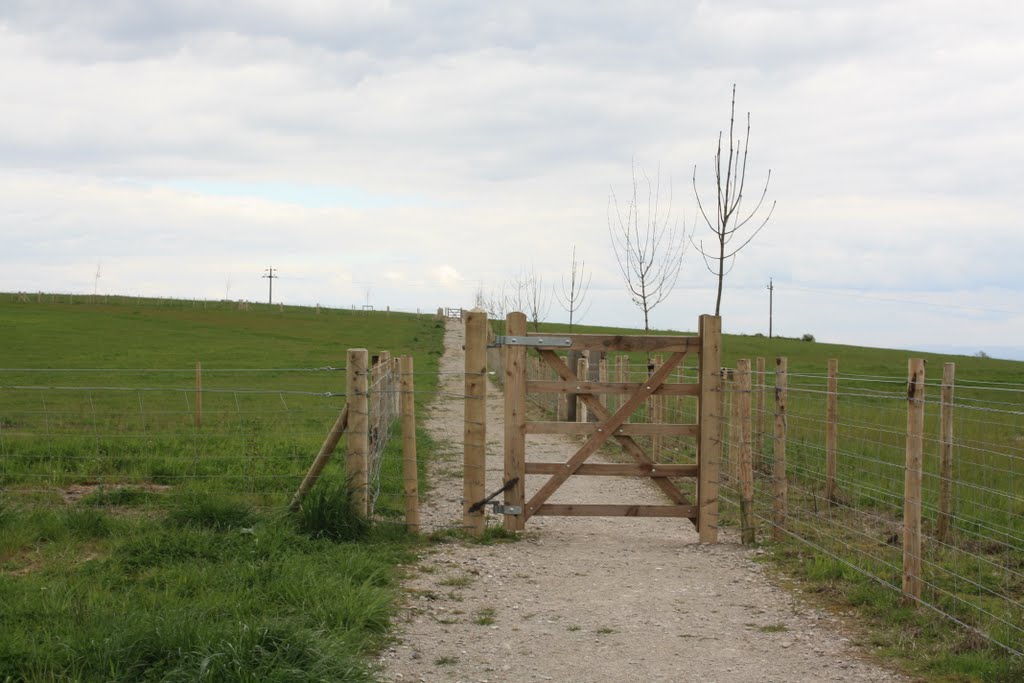 Gate to New Paths by Tony Oldfield