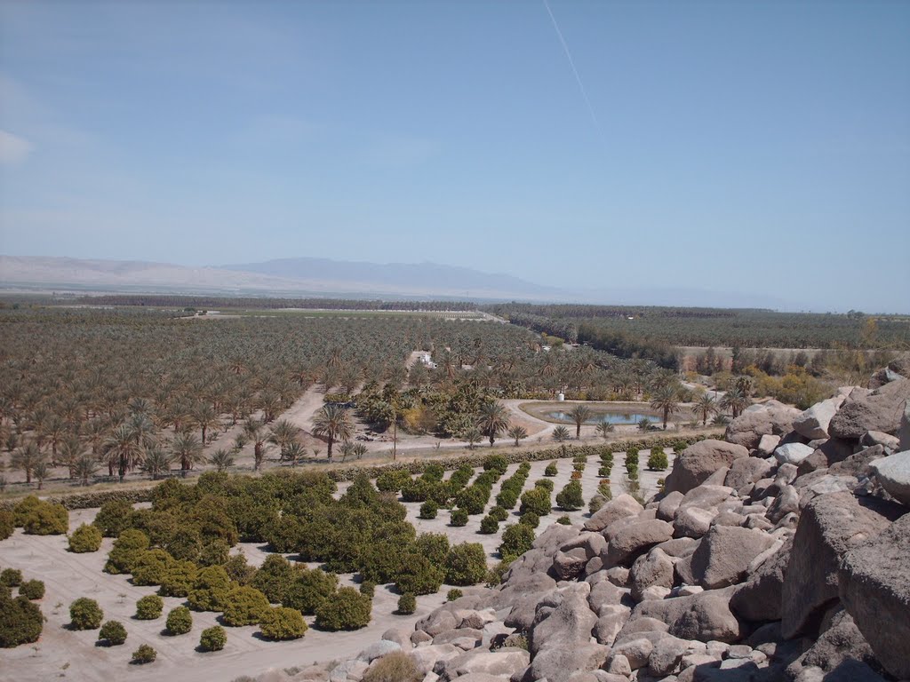 Veiw from above the Fish Traps Archeological Site, Thermal, CA 92274, USA by Ronald S. Hill