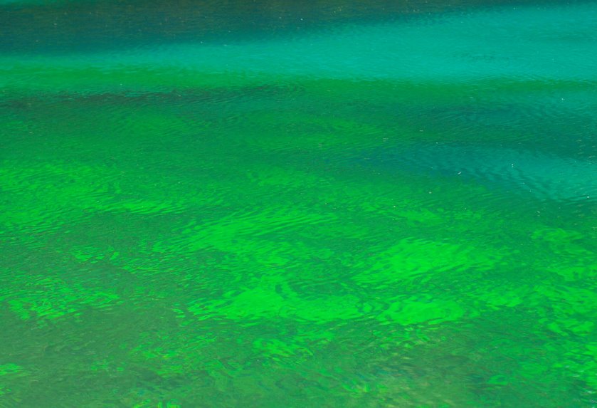 An Awsome Green/Blue Coloring of the Bottom of Clear Lake by Michael Hatten