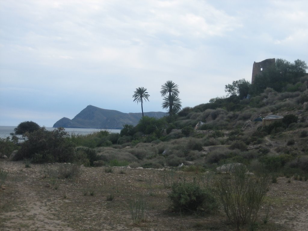 Desde el valle by Mayid Hassan