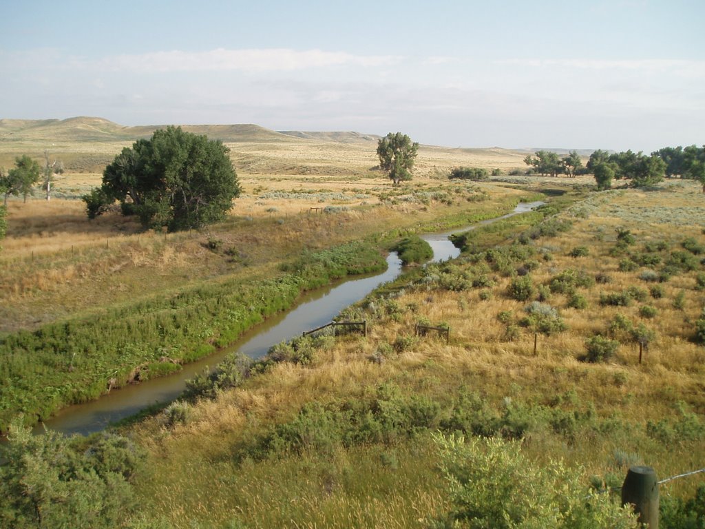 Crazy Woman Creek by Vasily  Vlasov